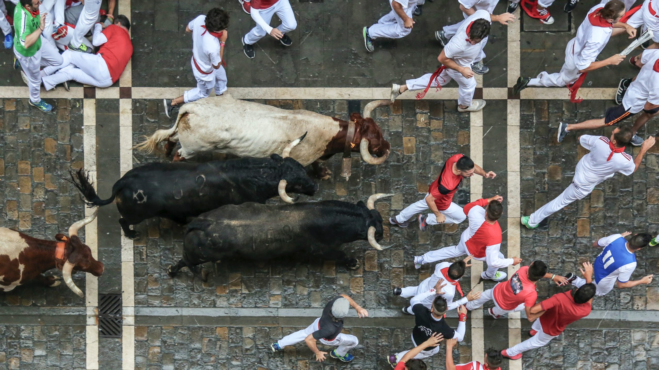 learn spanish fast and run the bulls